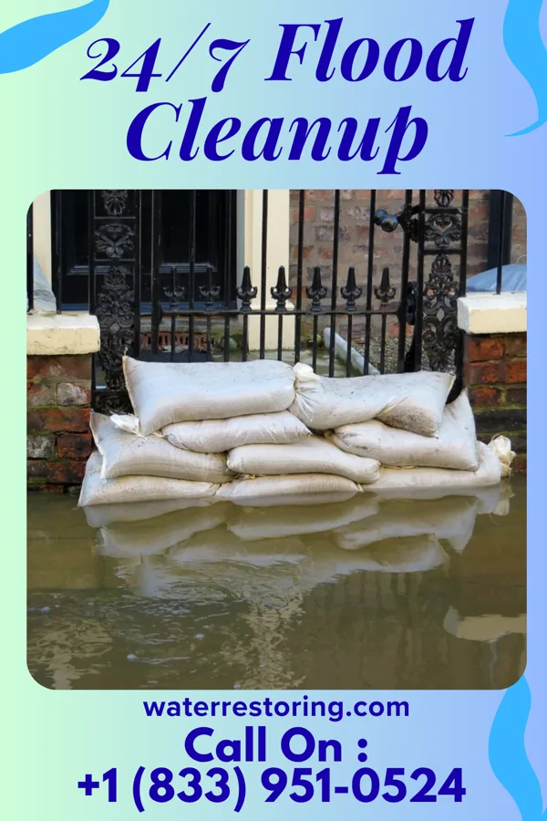 24/7 Flood Cleanup in Vidette, GA