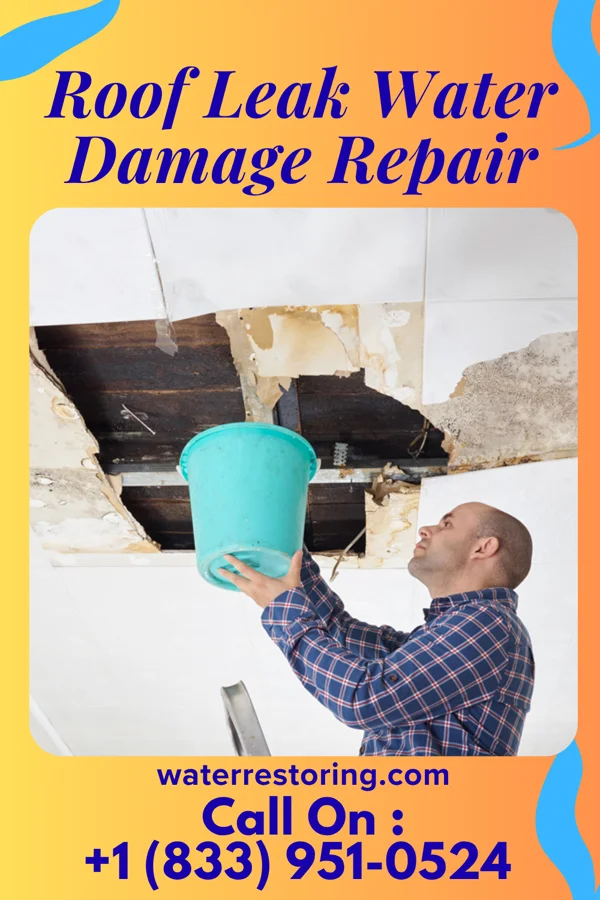 Roof Leak Water Damage Repair in Vidette, GA